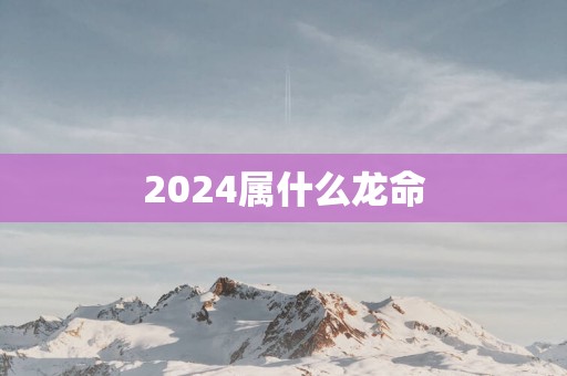 2025属什么龙命