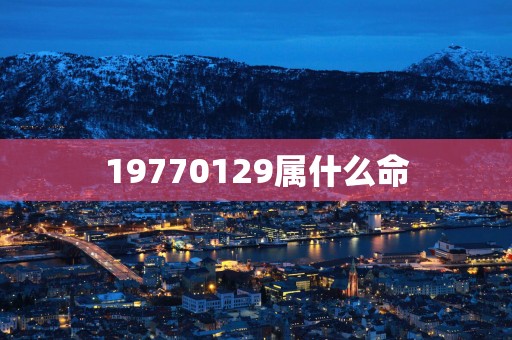 19770129属什么命