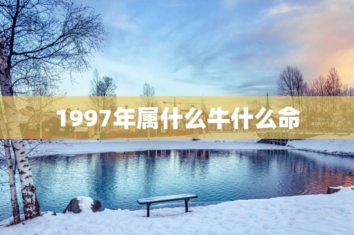 1997年属什么牛什么命