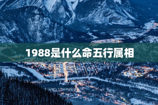 1988是什么命五行属相