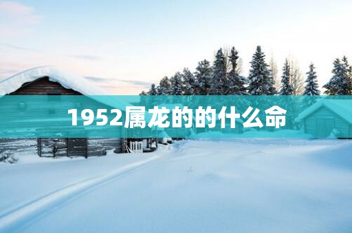 1952属龙的的什么命