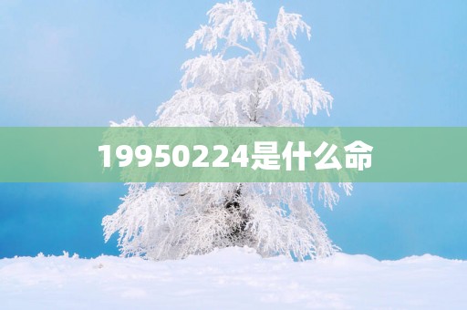 19950224是什么命