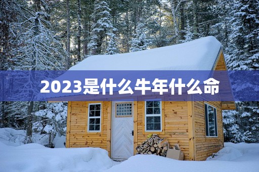 2025是什么蛇年什么命