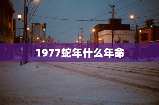 1977蛇年什么年命