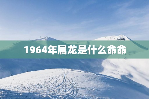 1964年属龙是什么命命 1964年属龙是什么命命