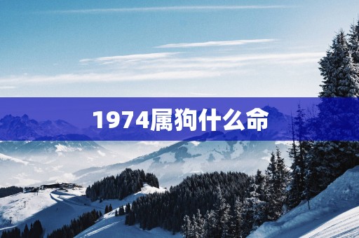 1974属狗什么命