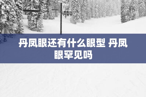 丹凤眼还有什么眼型 丹凤眼罕见吗