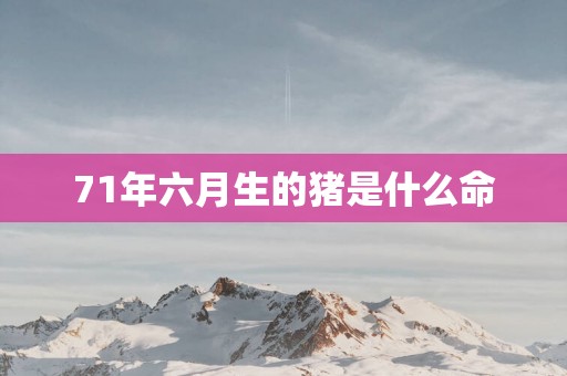 71年六月生的猪是什么命