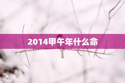 2014甲午年什么命