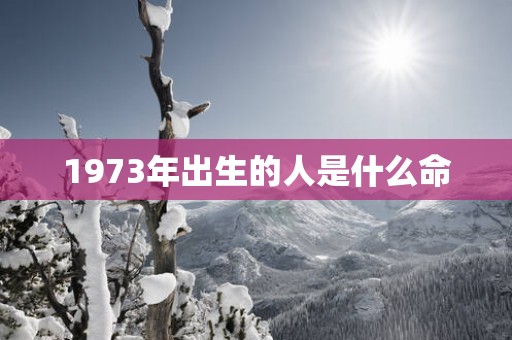 1973年出生的人是什么命