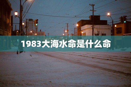 1983大海水命是什么命