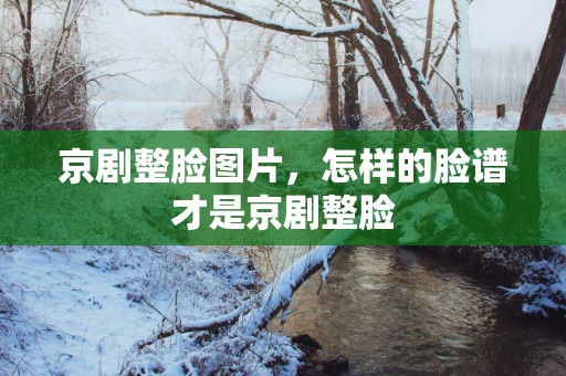京剧整脸图片，怎样的脸谱才是京剧整脸