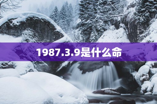 1987.3.9是什么命
