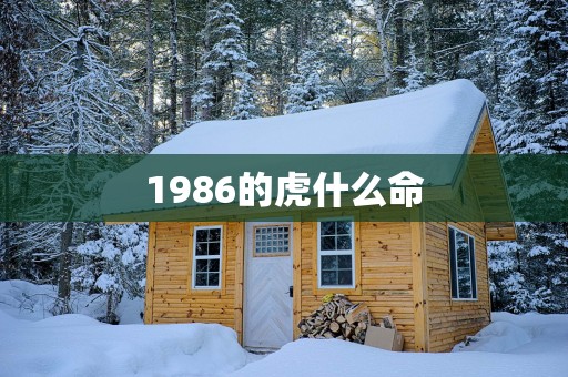 1986的虎什么命