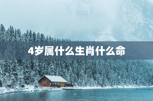 4岁属什么生肖什么命