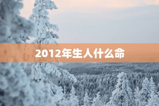 2012年生人什么命