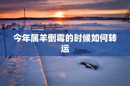 今年属羊倒霉的时候如何转运