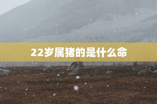 22岁属猪的是什么命