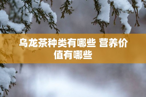 乌龙茶种类有哪些 营养价值有哪些