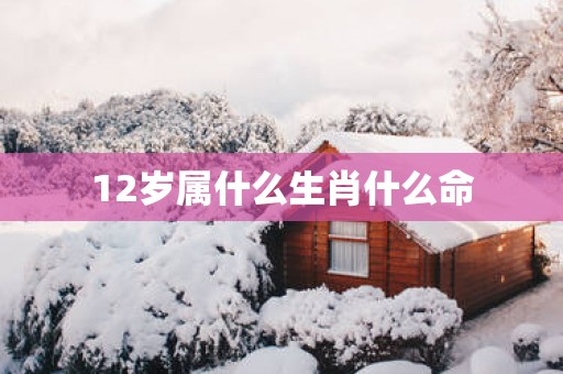 12岁属什么生肖什么命