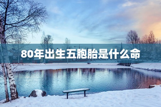 80年出生五胞胎是什么命