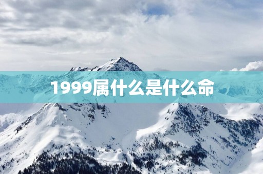 1999属什么是什么命
