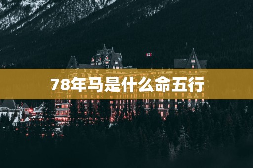 78年马是什么命五行
