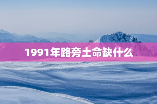 1991年路旁土命缺什么