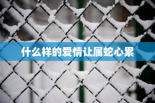 什么样的爱情让属蛇心累