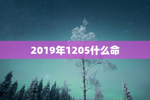 2019年1205什么命
