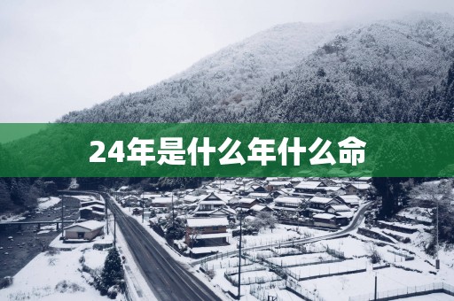 24年是什么年什么命