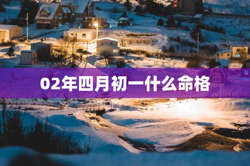 02年四月初一什么命格