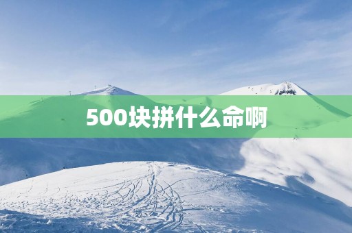 500块拼什么命啊