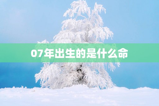 07年出生的是什么命