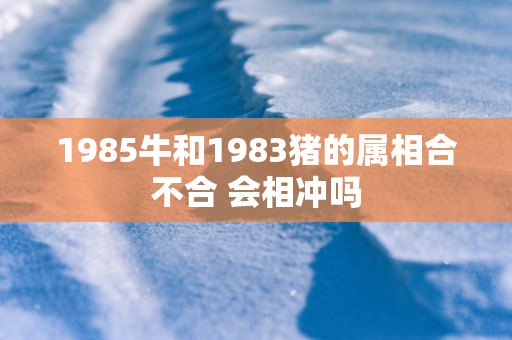 1985牛和1983猪的属相合不合 会相冲吗