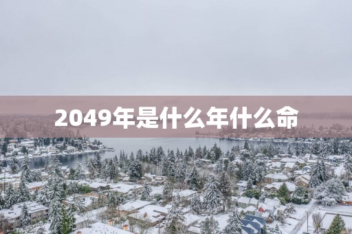 2049年是什么年什么命