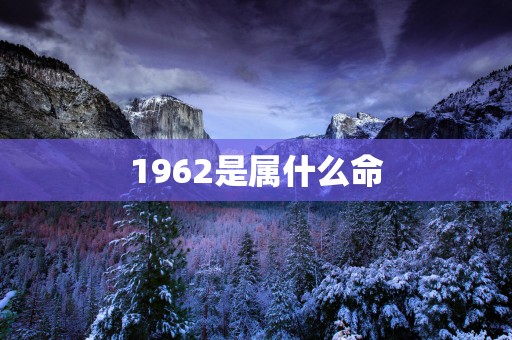 1962是属什么命