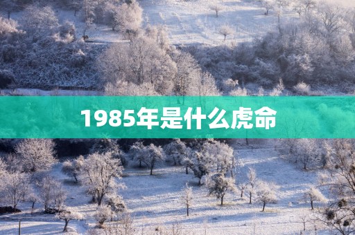 1985年是什么虎命