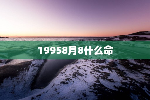 19958月8什么命