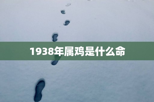 1938年属鸡是什么命