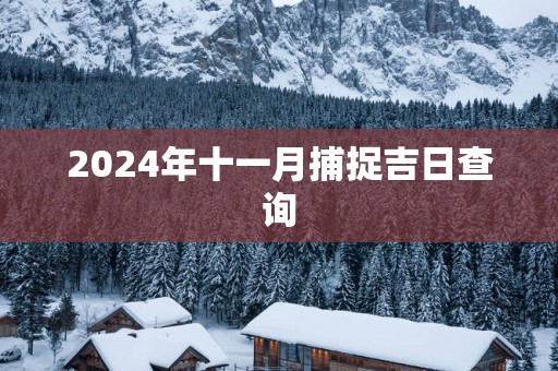 2025年十一月捕捉吉日查询