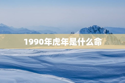 1990年蛇年是什么命