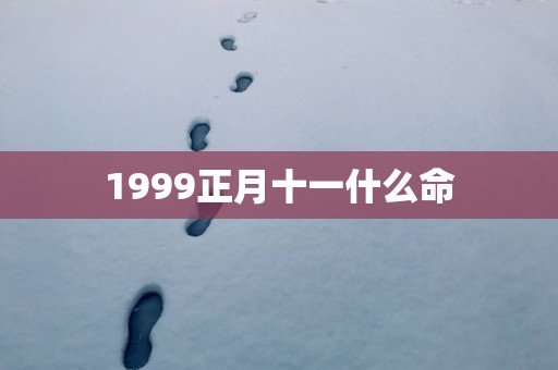 1999正月十一什么命