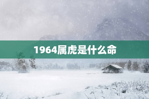 1964属虎是什么命