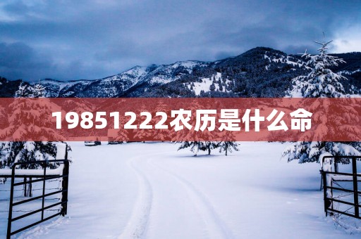 19851222农历是什么命