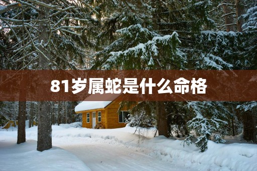 81岁属蛇是什么命格