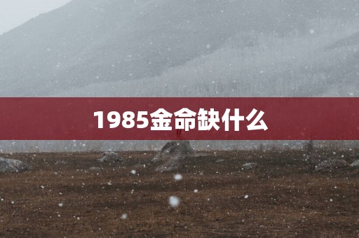 1985金命缺什么