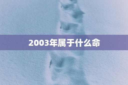 2003年属于什么命