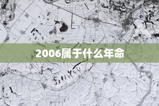2006属于什么年命