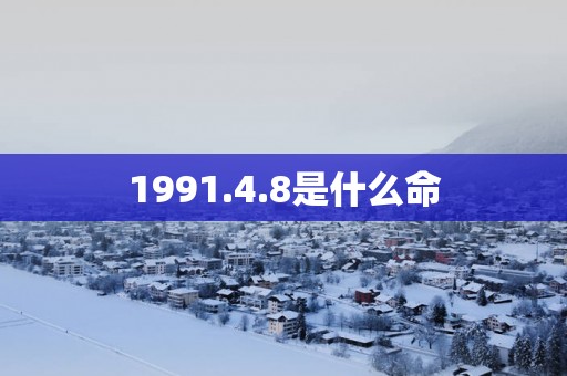 1991.4.8是什么命